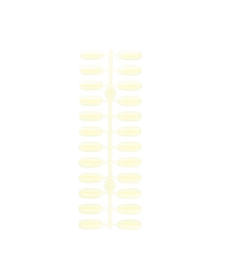 Tipsy do albumu Natural 120 szt.